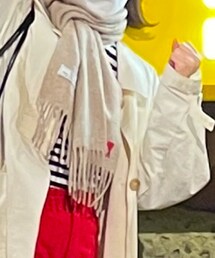 AMI Alexandre Mattiussi | マフラー