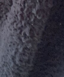 PUBLUX | カーディガン/ボレロ