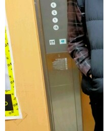 UNIQLO | シャツ/ブラウス