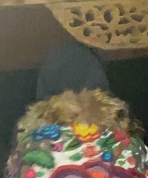 Rick Owens | パーカー