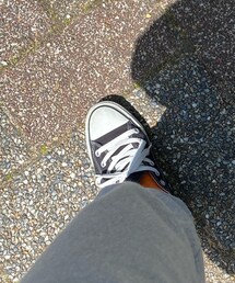 Tabio | ソックス/靴下