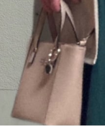Guess | ハンドバッグ