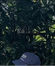 YAMAHA | キャップ