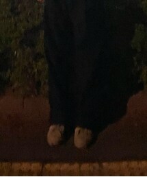 adidas Originals | スニーカー