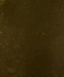 無印良品 | ソックス/靴下