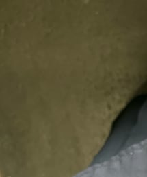 DISCOAT | シャツ/ブラウス