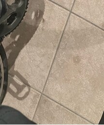 VIVIAN | バレエシューズ