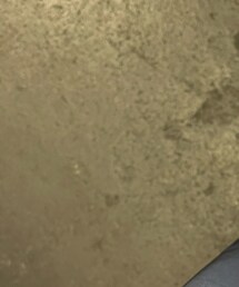 無印良品 | Tシャツ/カットソー