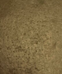 OPERA | マスカラ