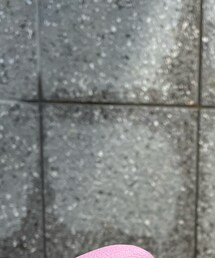 DISCOAT | シャツ/ブラウス