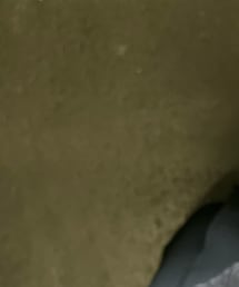 DISCOAT | キャミソール