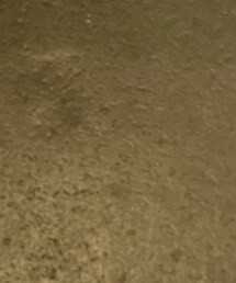 HOUSEOFROSE | 美容液/オイル/クリーム