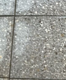 ETVOS | 口紅/リップティント/グロス