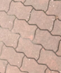 JILL STUART | パンプス