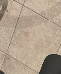 URBAN RESEARCH | ソックス/靴下