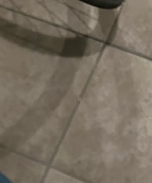 NUXE | ヘアオイル/ヘアミルク