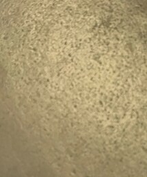 WA ORiental TRaffic | ローファー