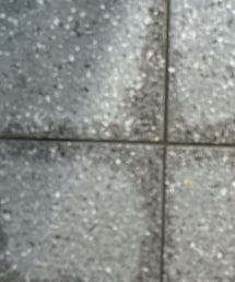 URBAN RESEARCH | ワンピース