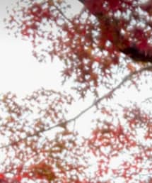 50代コーデ | その他