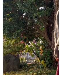 BEAUTY&YOUTH UNITED ARROWS | ニット/セーター