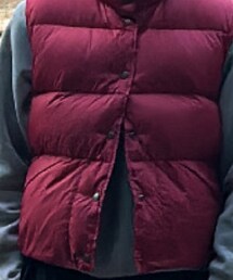 LLBean SIGNATURE | ダウンベスト