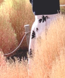 Apuweiser-riche | スカート