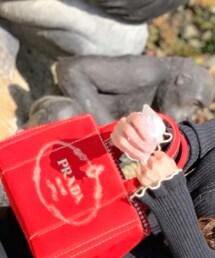 PRADA | ハンドバッグ