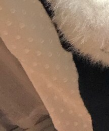 シーイン | ニット/セーター