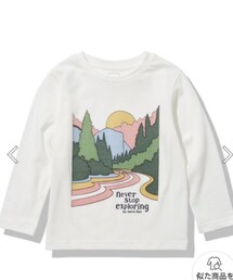 THE NORTH FACE | L/S Graphic Tee (ロングスリーブグラフィックティー)(トップス)