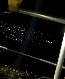 used | カーディガン/ボレロ