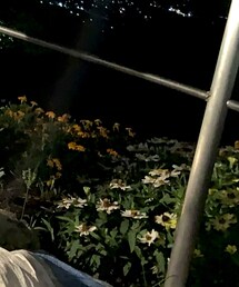 RYO TAKASHIMA | スラックス