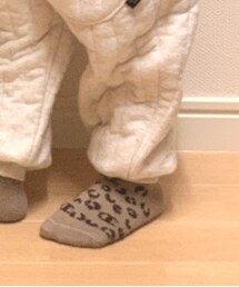 Champion | ソックス/靴下