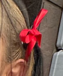 SHEIN | バレッタ/ヘアクリップ