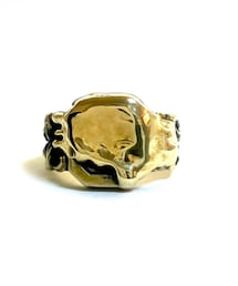 マダラニンゲン | リング