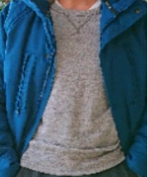 Hollister | ダウンジャケット/コート