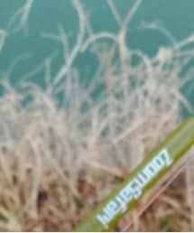 アブガルシア　ズームサファリ　765Ｌ | アウトドアグッズ