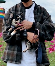 BEAMS | ペットウェア