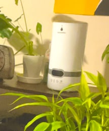 加湿は大事 | その他