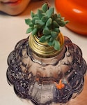 Lampe Berger Parisの「雑貨/ホビー(その他雑貨)」