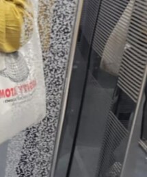 Baleno | エコバッグ/サブバッグ