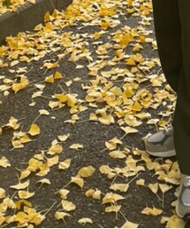 NEW BALANCE | 三茶の古着屋、agitation freeにて、約27,000(スニーカー)