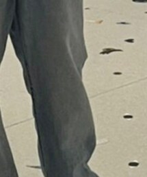 EDWIN | デニムパンツ