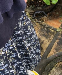 Pont de Chalons | スカート