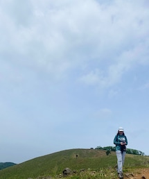 THE NORTH FACE | トップス