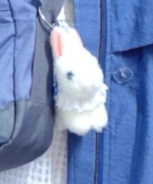 ふわふわのうさぎ | 雑貨/ホビー