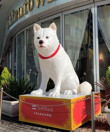お父さん🐕 | その他