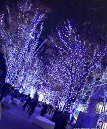 イルミ✨ | その他
