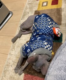 はんてんも似合う😻 | その他