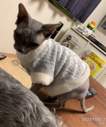 ダイソーだけどかわいい😻 | その他