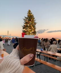 鉢🎄 | その他